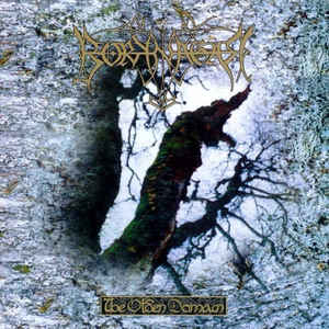 Borknagar ‎– The Olden Domain  Vinyle, LP, Album, Réédition