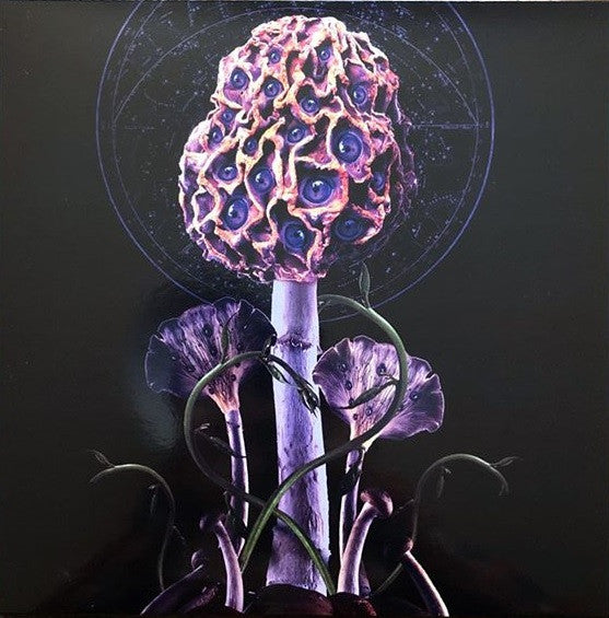 Blut Aus Nord – Hallucinogen  2 x Vinyle, LP, Album