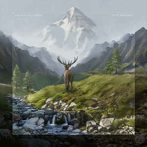 Caligula's Horse ‎– Rise Radiant  2 × Vinyle, LP, Album + CD, Album