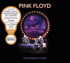 Pink Floyd ‎– Delicate Sound Of Thunder  2 × CD, Album, Réédition, Digipack