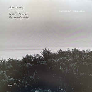 Joe Lovano, Trio Tapestry ‎– Garden Of Expression  Vinyle, LP, Album