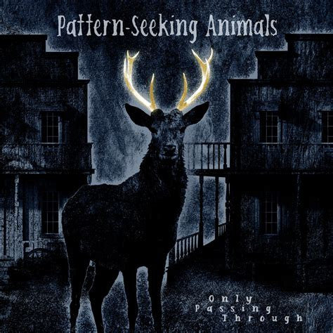 Pattern-Seeking Animals – Only Passing Through  2 x Vinyle, LP + CD, Album