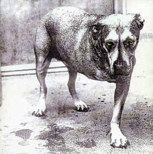 Alice In Chains ‎– Alice In Chains  CD, Album