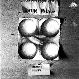 Satin Whale ‎– Desert Places  Vinyle, LP, Album, Réédition