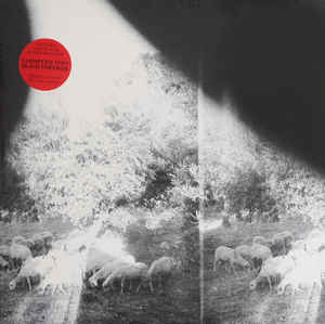 Godspeed You! Black Emperor ‎– Asunder, Sweet And Other Distress   Vinyle, LP, Album, 180 Grammes