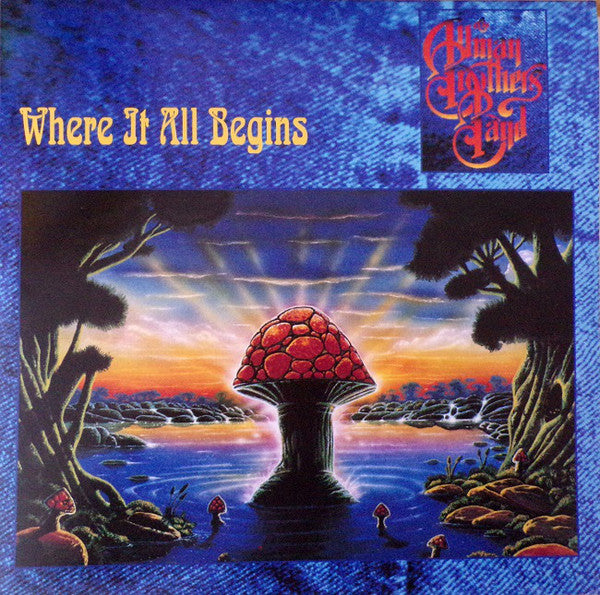 The Allman Brothers Band – Where It All Begins  2 x  Vinyle, LP, Album, Réédition, Stéréo, 180 grammes