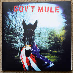 Gov't Mule ‎– Gov't Mule  2 × Vinyle, LP, Album, Réédition, Stéréo, Gatefold