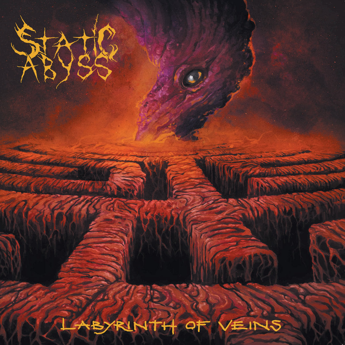 Static Abyss - Labyrinth Of Veins CD, Album