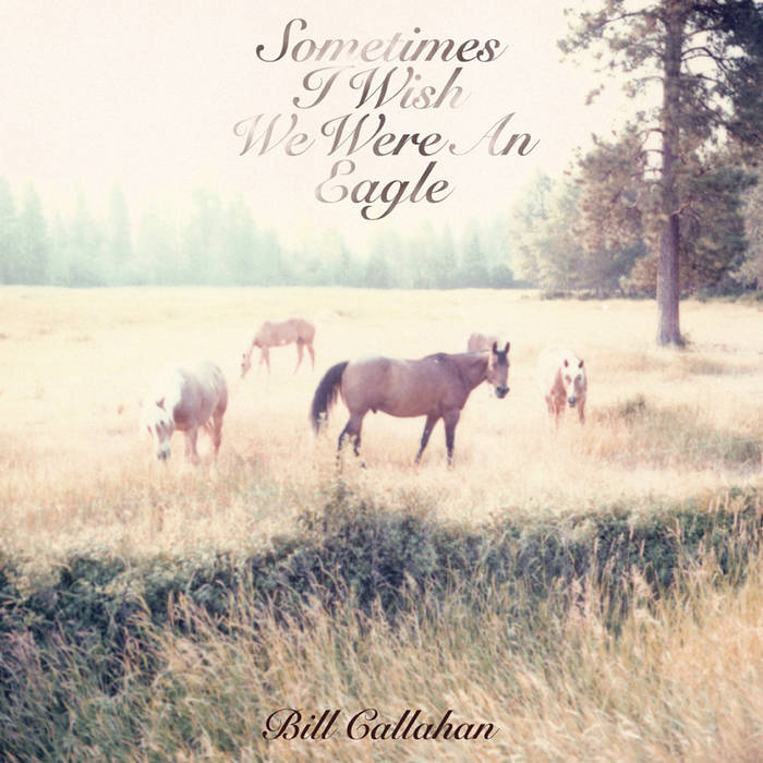 Bill Callahan – Sometimes I Wish We Were An Eagle  Vinyle, LP, Album