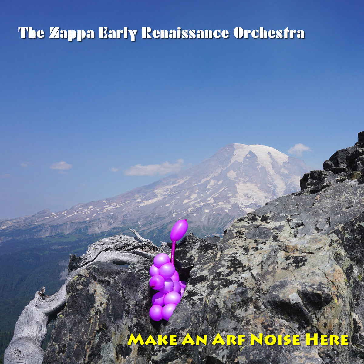 Z.E.R.O.(The Zappa Early Renaissance Orchestra) - Make An Arf Noise Here  CD, Digipak