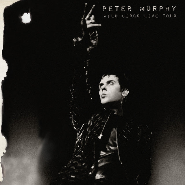 Peter Murphy – Wild Birds Live Tour  2 x Vinyle, LP, Album, Édition Limitée, Réédition, Purple & Black Split