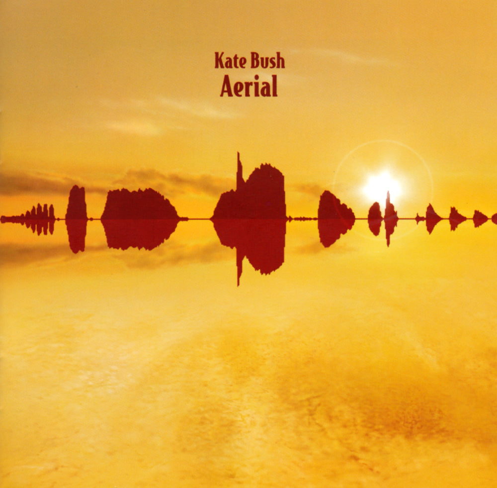 Kate Bush ‎– Aerial  2 × Vinyle, LP, Album, Réédition, Remasterisé, 180g