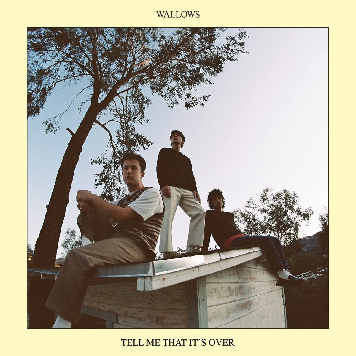 Wallows – Tell Me That It's Over  Vinyle, LP, Album, Jaune