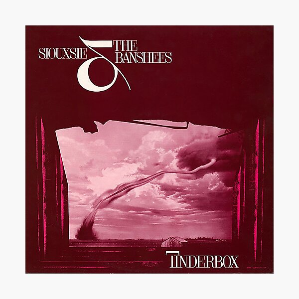 Siouxsie &amp; The Banshees ‎– Tinderbox  Vinyle, LP, Album, Réédition, Remasterisé