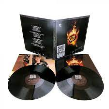 Suzi Quatro ‎– The Devil In Me  2 × Vinyle, LP, Album