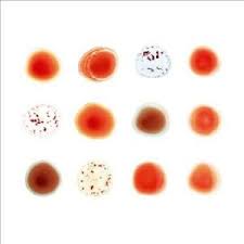 Peter Gabriel – Scratch My Back / And I&