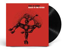 Sons Of Kemet ‎– Black To The Future  2 × Vinyle, LP, Album