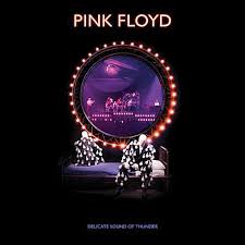 Pink Floyd ‎– Delicate Sound Of Thunder  DVD