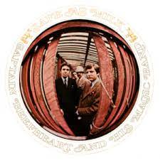 Captain Beefheart And His Magic Band ‎– Safe As Milk  2 x Vinyle, LP, Album, Réédition, 180g