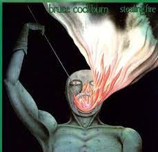 Bruce Cockburn ‎– Stealing Fire  Vinyle, LP, Album, Réédition, 180g